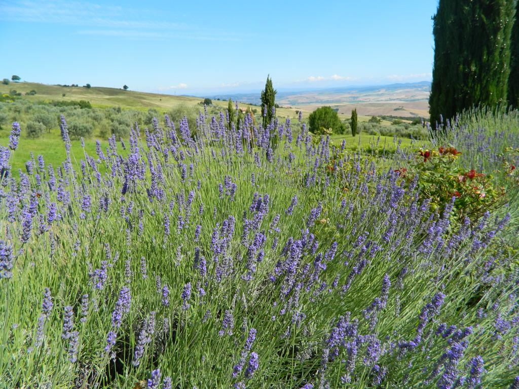 Le Rogheta Villa Campiglia dʼOrcia Eksteriør bilde
