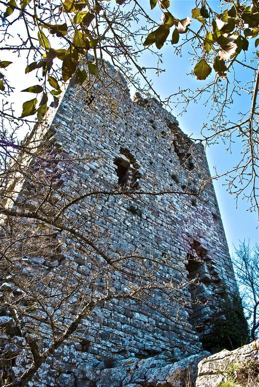 Le Rogheta Villa Campiglia dʼOrcia Eksteriør bilde