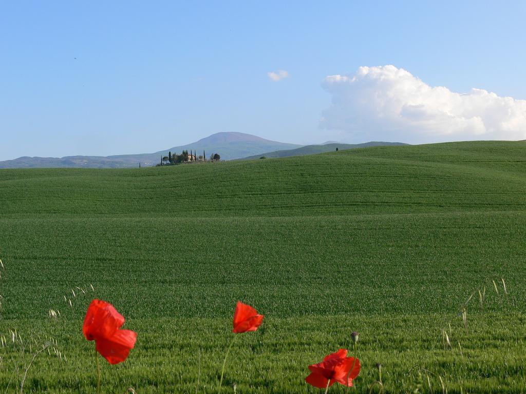 Le Rogheta Villa Campiglia dʼOrcia Eksteriør bilde